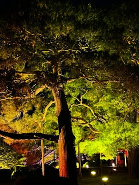 NAKEDヨルモウデ2022平安神宮に投稿された画像（2022/12/10）