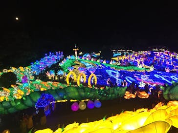 伊豆ぐらんぱる公園に投稿された画像（2022/12/10）