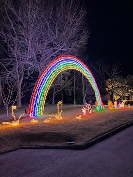 はままつフラワーパークに投稿された画像（2022/12/10）