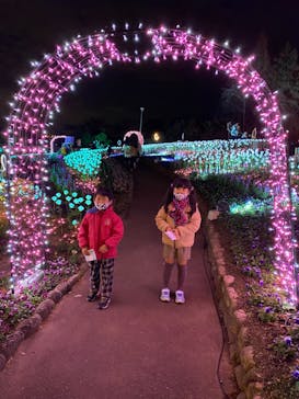 大阪府立花の文化園に投稿された画像（2022/12/10）