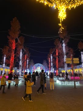 神戸イルミナージュに投稿された画像（2022/12/10）