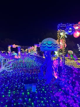 伊豆ぐらんぱる公園に投稿された画像（2022/12/10）