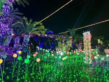 伊豆ぐらんぱる公園に投稿された画像（2022/12/10）