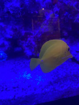 鶴見緑地湯元 水春に投稿された画像（2022/12/10）