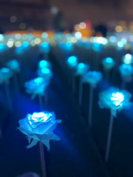 東京メガイルミに投稿された画像（2022/12/10）