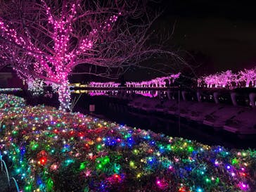 東武動物公園に投稿された画像（2022/12/10）