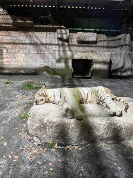 東武動物公園に投稿された画像（2022/12/10）