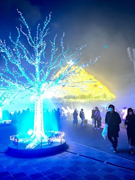 東京メガイルミに投稿された画像（2022/12/10）