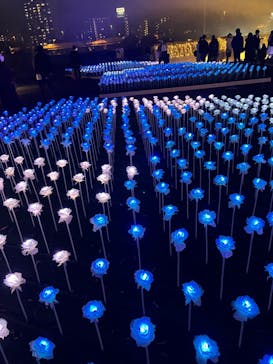 東京メガイルミに投稿された画像（2022/12/10）