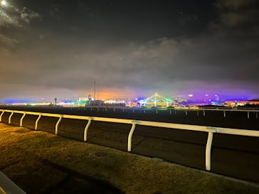 東京メガイルミに投稿された画像（2022/12/10）