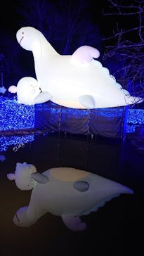 さがみ湖MORI MORIに投稿された画像（2022/12/10）