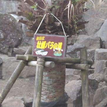 伊豆シャボテン動物公園に投稿された画像（2022/12/10）