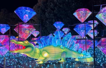 伊豆ぐらんぱる公園に投稿された画像（2022/12/10）