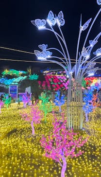 伊豆ぐらんぱる公園に投稿された画像（2022/12/10）