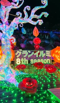 伊豆ぐらんぱる公園に投稿された画像（2022/12/10）