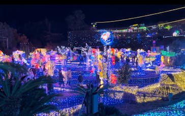 伊豆ぐらんぱる公園に投稿された画像（2022/12/10）