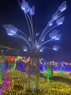 伊豆ぐらんぱる公園に投稿された画像（2022/12/10）