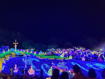 伊豆ぐらんぱる公園に投稿された画像（2022/12/10）