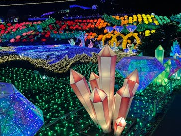 伊豆ぐらんぱる公園に投稿された画像（2022/12/10）