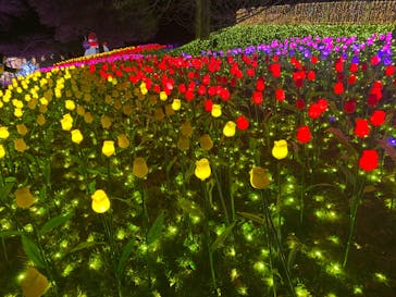 さがみ湖MORI MORIに投稿された画像（2022/12/10）