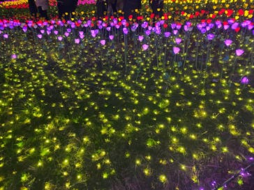 さがみ湖MORI MORIに投稿された画像（2022/12/10）