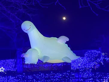 さがみ湖MORI MORIに投稿された画像（2022/12/10）