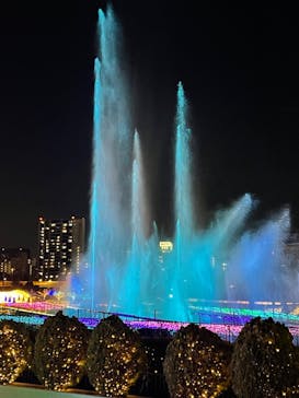 東京メガイルミに投稿された画像（2022/12/10）