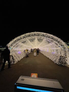 東京メガイルミに投稿された画像（2022/12/10）