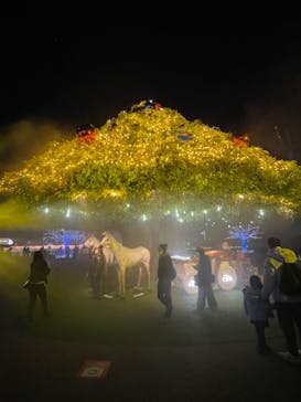 東京メガイルミに投稿された画像（2022/12/10）