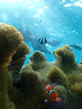 宮古島マリン SUGAR3（シュガースリー）に投稿された画像（2022/12/10）