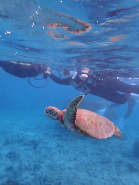 宮古島マリン SUGAR3（シュガースリー）に投稿された画像（2022/12/10）