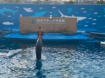 仙台うみの杜水族館に投稿された画像（2022/12/10）