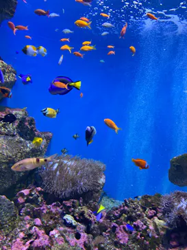 仙台うみの杜水族館に投稿された画像（2022/12/10）