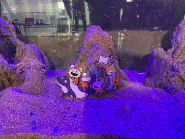 仙台うみの杜水族館に投稿された画像（2022/12/10）
