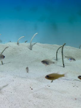 アクアワールド茨城県大洗水族館に投稿された画像（2022/12/10）