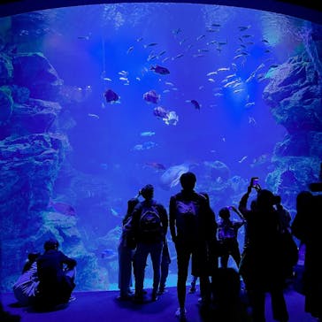 京都水族館に投稿された画像（2022/12/10）