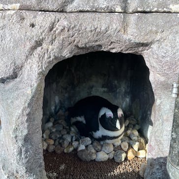 京都水族館に投稿された画像（2022/12/10）