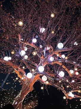 西武園ゆうえんちに投稿された画像（2022/12/10）