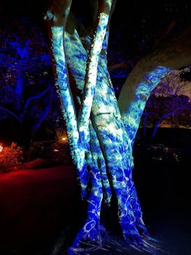 西武園ゆうえんちに投稿された画像（2022/12/10）