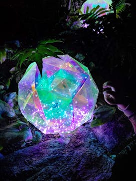 大阪府立花の文化園に投稿された画像（2022/12/10）