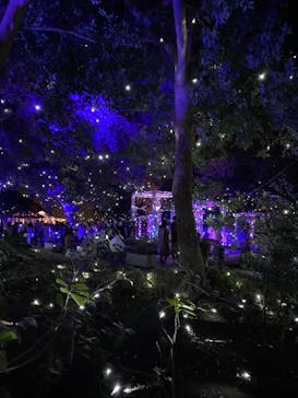 江の島シーキャンドルに投稿された画像（2022/12/10）