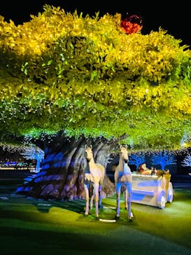 東京メガイルミに投稿された画像（2022/12/10）