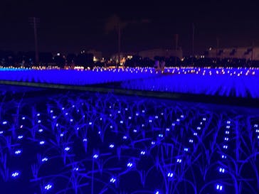 東京メガイルミに投稿された画像（2022/12/11）