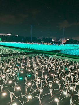 東京メガイルミに投稿された画像（2022/12/11）