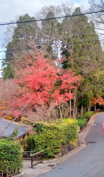 京阪電車に投稿された画像（2022/12/11）