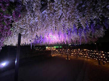 東京メガイルミに投稿された画像（2022/12/11）