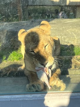 東武動物公園に投稿された画像（2022/12/11）