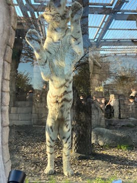 東武動物公園に投稿された画像（2022/12/11）