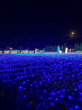 東武動物公園に投稿された画像（2022/12/11）