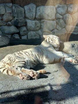 東武動物公園に投稿された画像（2022/12/11）